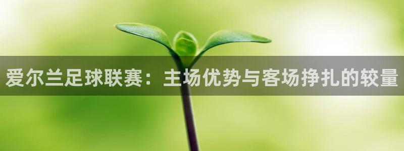 爱尔兰足球联赛：主场优势与客场挣扎的较量