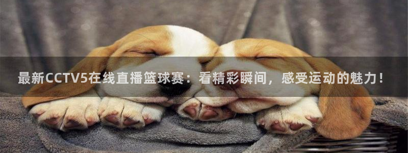最新CCTV5在线直播篮球赛：看精彩瞬间，感受运动的魅力！