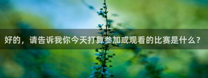 好的，请告诉我你今天打算参加或观看的比赛是什么？