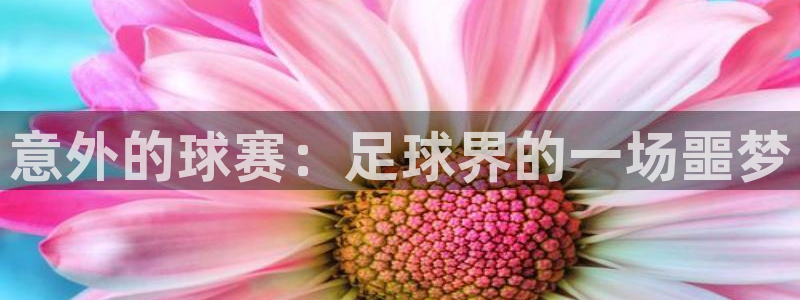 意外的球赛：足球界的一场噩梦