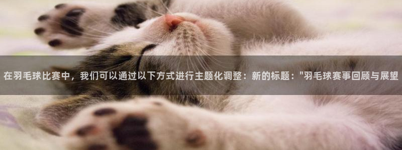 球王会体育平台入口
