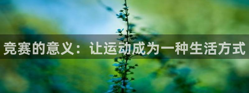 球王会体育app官网入口下载苹果：竞赛的意义：让运动成为一种