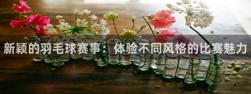 球王会体育：新颖的羽毛球赛事：体验不同风格的比赛魅力