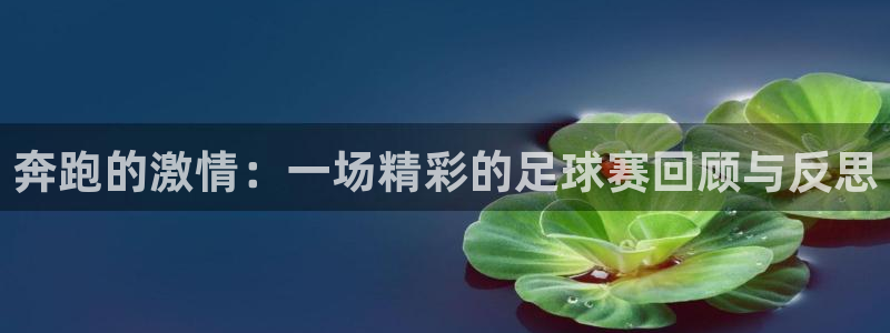 球王会体育app官网入口下载苹果：奔跑的激情：一场精彩的足球