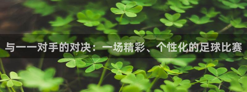 球王会体育权威备：与一一对手的对决：一场精彩、个性化的足球比
