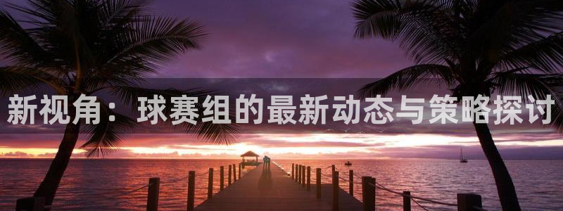 球王会体育app下载：新视角：球赛组的最新动态与策略探讨