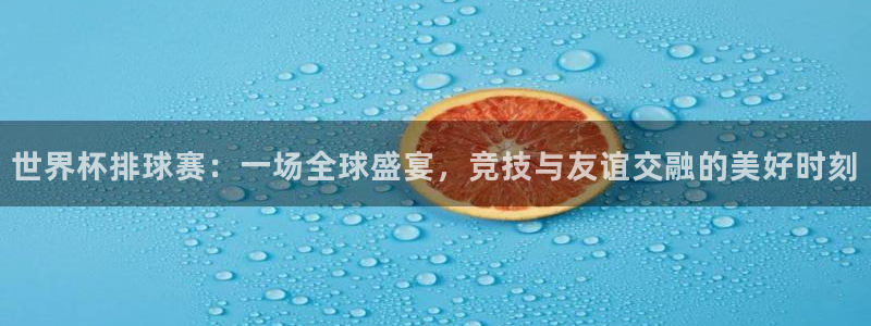 球王会体育登录入口：世界杯排球赛：一场全球盛宴，竞技与友谊交